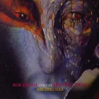 Pochette 1987‐07‐04: Orbiting Uvula: Sullivan Stadium, Foxboro, MA, USA
