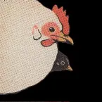 Pochette One Bird Two Bird