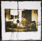 Pochette The Long Shadow Falls