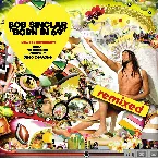 Pochette Born in 69 (remixed)