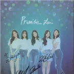 Pochette Promise You