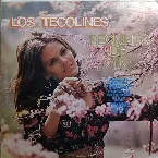 Pochette Requinto de oro