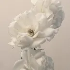 Pochette Turn the Light On: Acoustic Reimagination