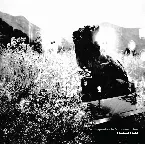 Pochette Liminal Field