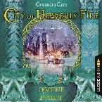 Pochette City of Heavenly Fire