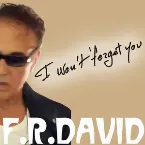Pochette I Won't Forget You