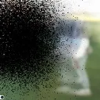 Pochette YEARS OF FAILURE