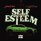 Pochette Self Esteem
