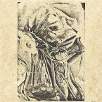 Pochette The Ultimated Sign of Burning Death