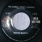 Pochette The Carroll County Accident / Sorrow Overtakes The Wine