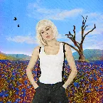 Pochette Bang Bang Bang Bang (Kill the Gun)