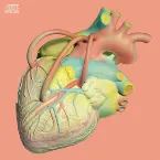 Pochette 사람의 마음