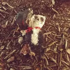 Pochette Seven Hells, Volume I: Jugando A Las Damas Con La Muerte