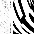 Pochette ASCII SNAKE