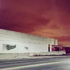 Pochette Flatline / Live it Down