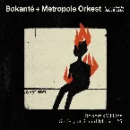Pochette What Heat - Bokanté + Metropole Orkest