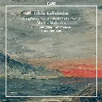 Pochette Symphony no. 1 / Sinfonietta no. 2 / Musica Sinfonica