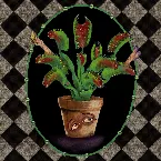 Pochette Vicious Delicious