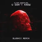Pochette U Don't Know (Slushii remix)
