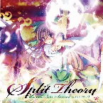 Pochette Split Theory