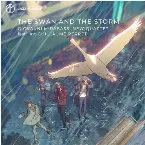 Pochette The Swan and the Storm