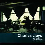 Pochette Voice in the Night