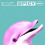 Pochette Spicy (remixes)