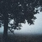 Pochette Singularity