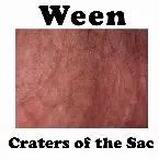 Pochette Craters of the Sac