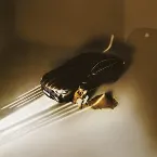 Pochette BENZO