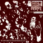 Pochette CACOMethamorphosen