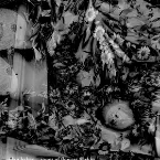 Pochette Songs of Flowers & Skin