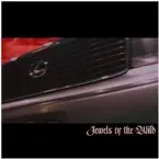 Pochette Jewels of the Wild