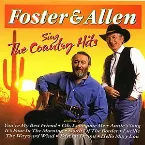Pochette Sing the Country Hits