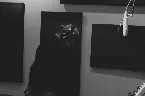 Pochette Shade 45 Freestyle
