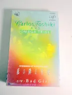 Pochette 花の降る午後