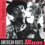 Pochette American Roots: Blues