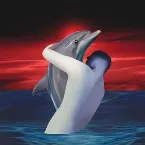 Pochette Sinus Amoris (Songs from the Bay of Love)