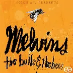 Pochette The Bulls & The Bees