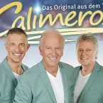 Pochette Die 20 schönsten Sommerschlager