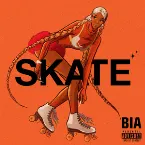 Pochette SKATE