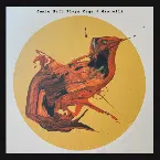 Pochette Plays Cage & Granelli