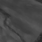 Pochette Black Swallow