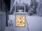 Pochette Wistful Winter