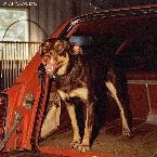 Pochette What You’ve Lost