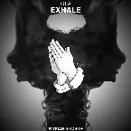 Pochette Exhale