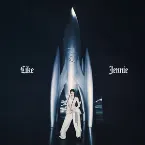 Pochette like JENNIE (Peggy Gou remix)