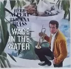 Pochette Wade in the Water