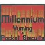 Pochette Millennium