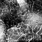 Pochette Crash